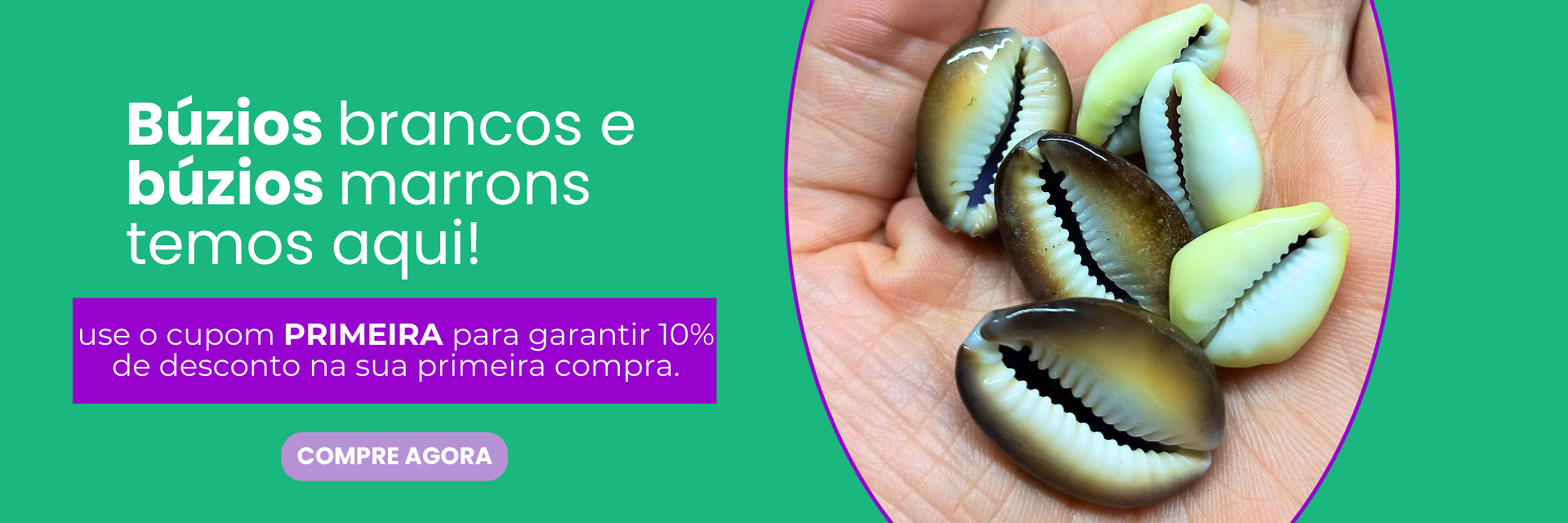 Búzios brancos e búzios marrons temos aqui!